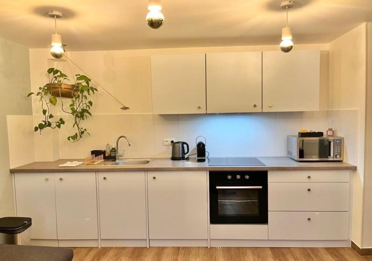 Appartement 2P Strasbourg Centre Exteriör bild
